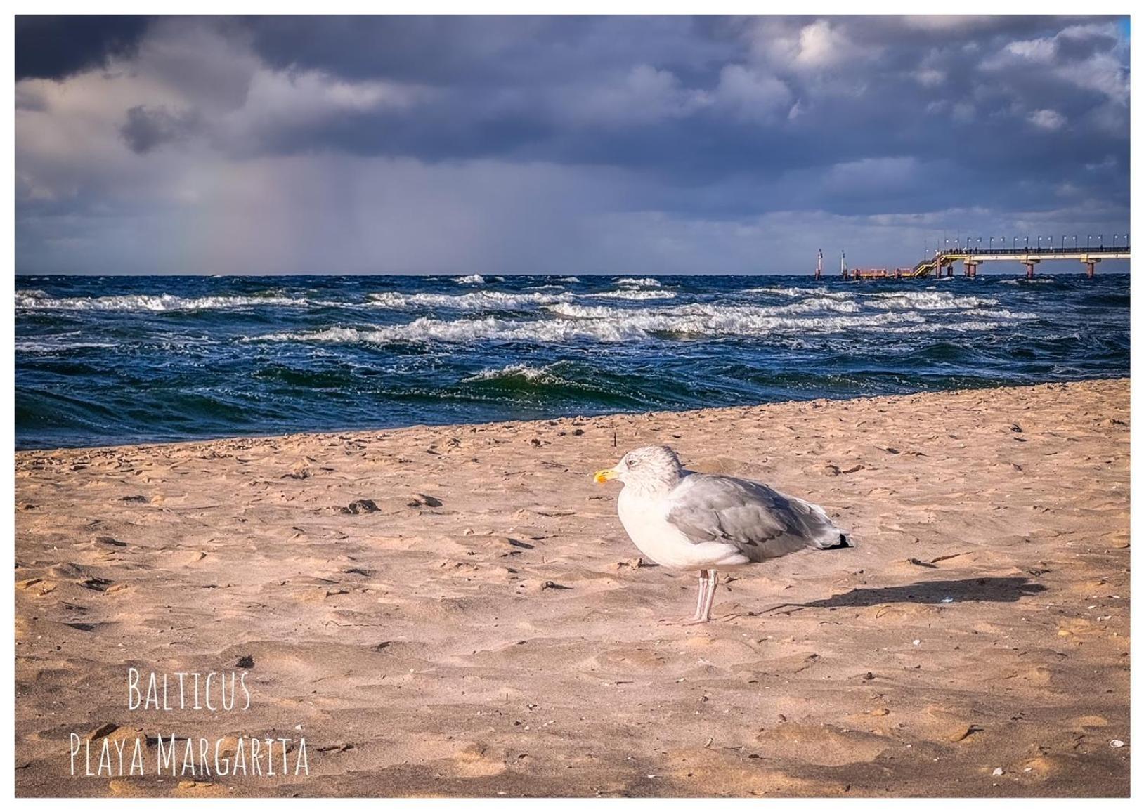 شقة Balticus Playa Margarita مينززدرويه المظهر الخارجي الصورة